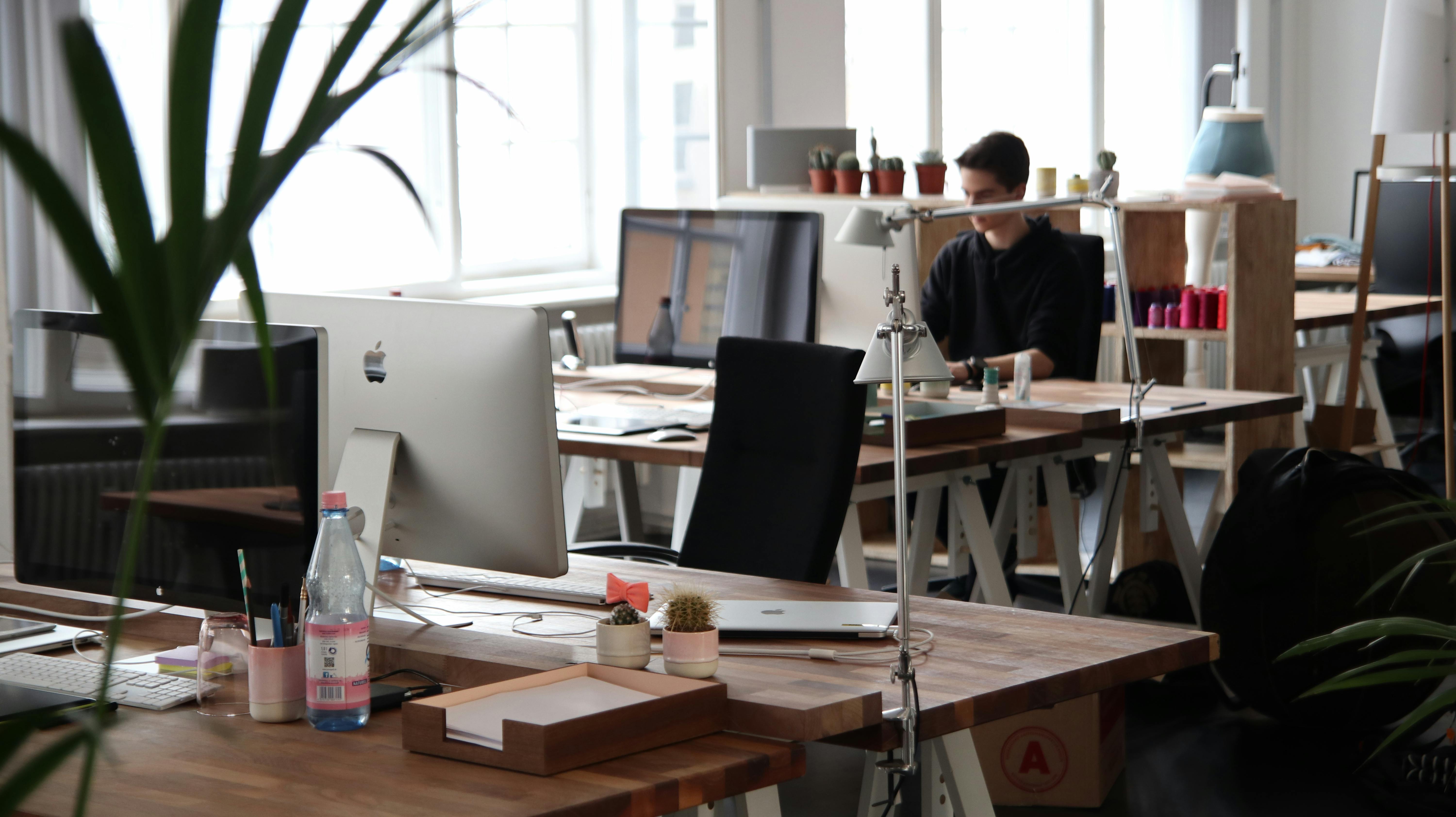 Professional web development solutions and digital services